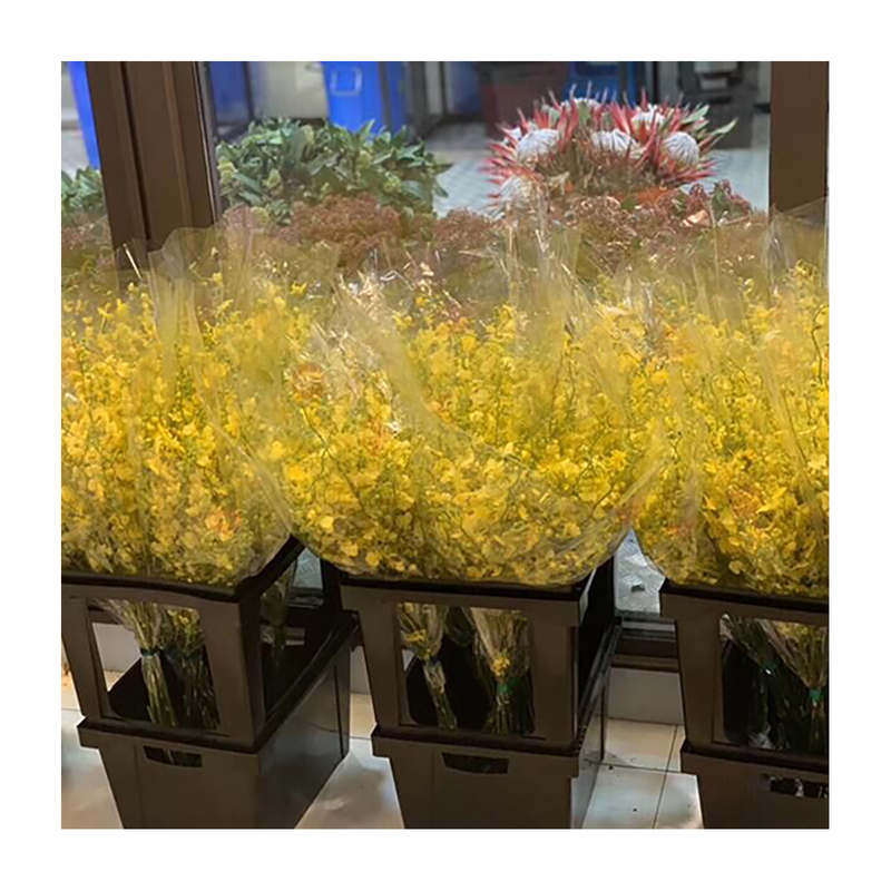 Emballage et boîte de présentation pour les fleurs coupées