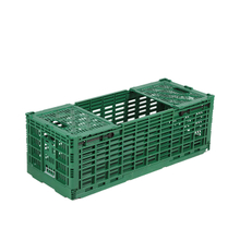 Caisses pliables en plastique pour le transport en mouvement Fleur de coupe fraîche