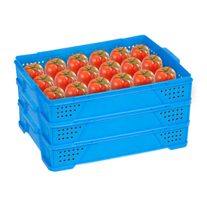 Caisse en plastique pour tomates ou autres fruits