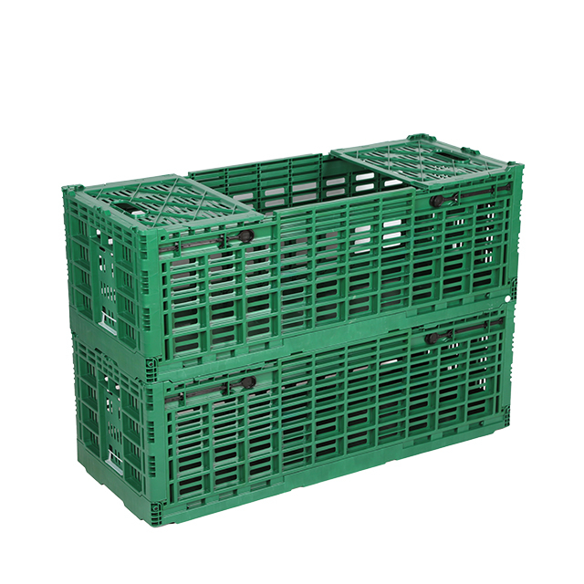 Caisses pliables en plastique pour le transport en mouvement Fleur de coupe fraîche