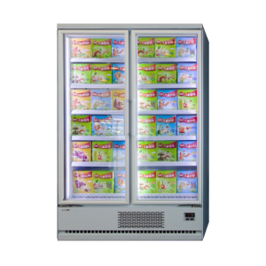 Multi-pont vertical plug-in <-18 ℃ Freinteur avec porte en verre 