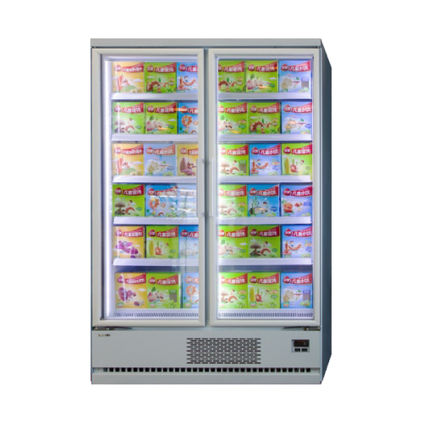 Multi-pont vertical plug-in <-18 ℃ Freinteur avec porte en verre 