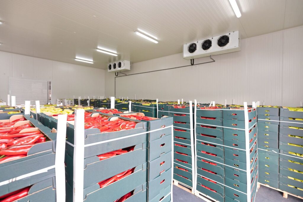 Cold-storage-warehouse-1024x682