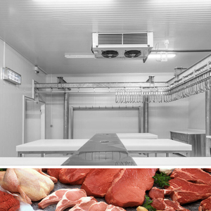 40 cbm de place froide pour la viande congelée, poisson surgelé