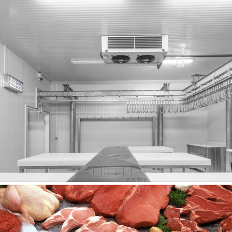 40 cbm de place froide pour la viande congelée, poisson surgelé