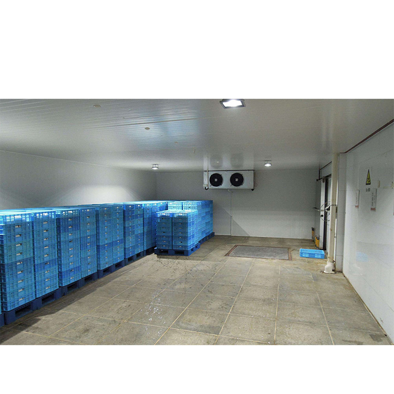 30 cbm de place froide pour les fruits et légumes